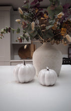 Load image into Gallery viewer, Cermamic Pumpkin - Set of Two

