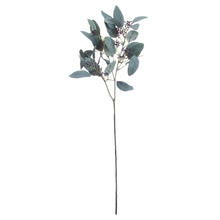Load image into Gallery viewer, Seeded Eucalyptus Stem
