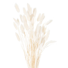Load image into Gallery viewer, Dried Bunny Tails
