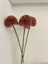 Load image into Gallery viewer, Pink Allium - Set of 2
