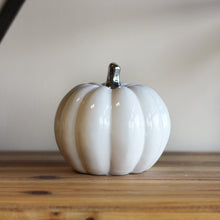Load image into Gallery viewer, Cermamic Pumpkin - Set of Two

